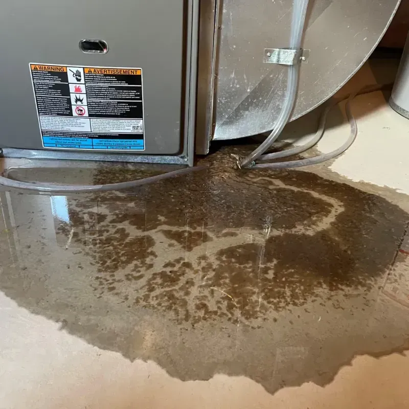 Appliance Leak Cleanup in Cascade, ID